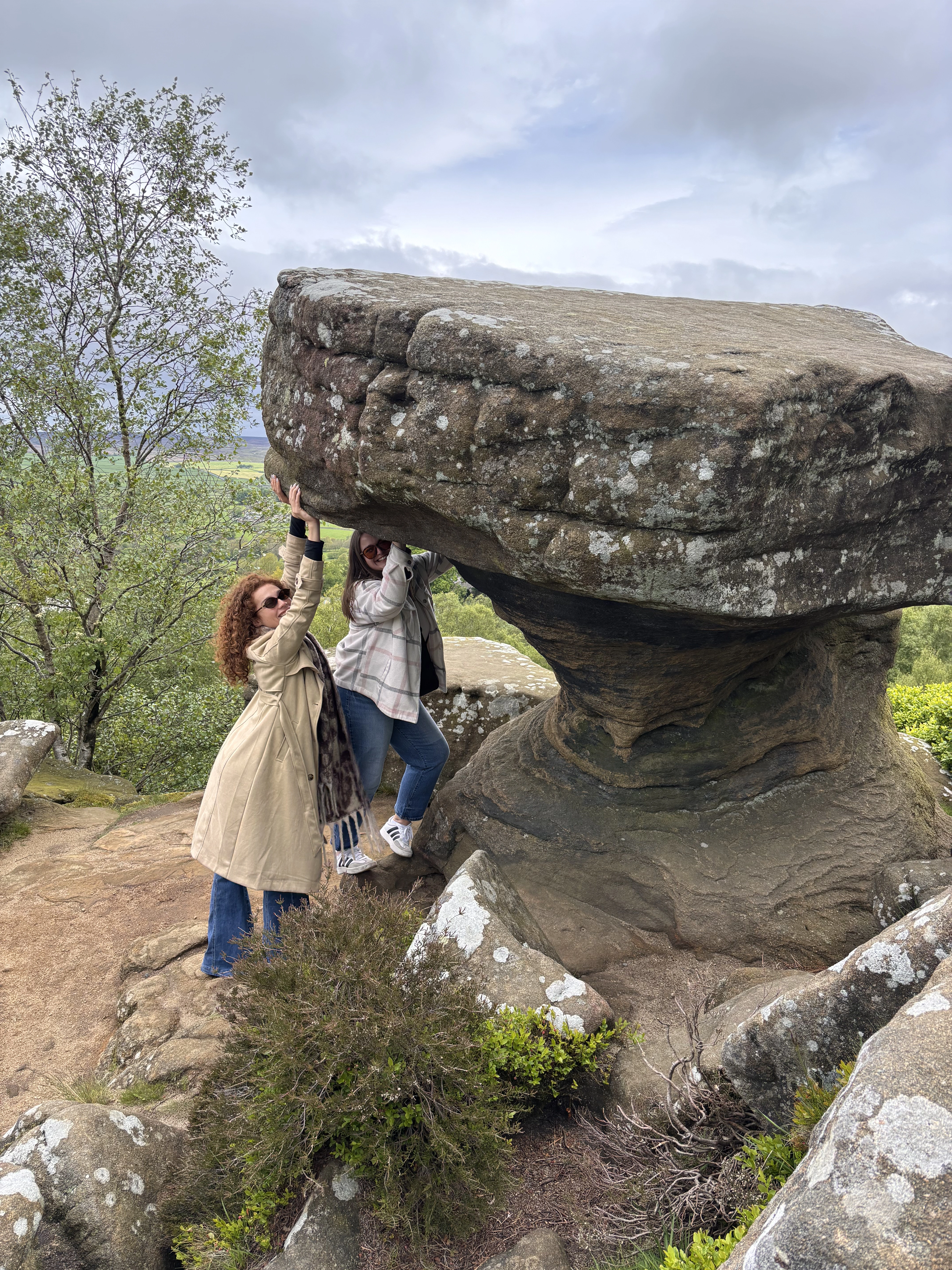 The weathered rock formations at Brimham Rocks